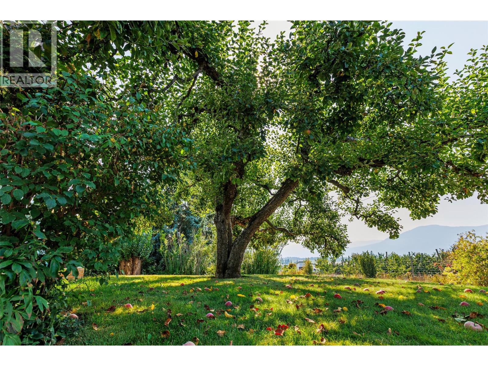 1220 25th Avenue S, Creston, British Columbia  V0B 1G1 - Photo 63 - 10363140