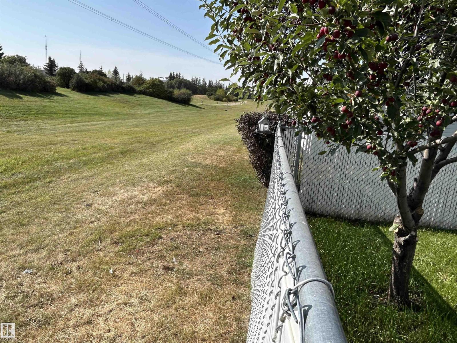 874 Highwood Bv, Devon, Alberta  T9G 2G6 - Photo 41 - E4458431
