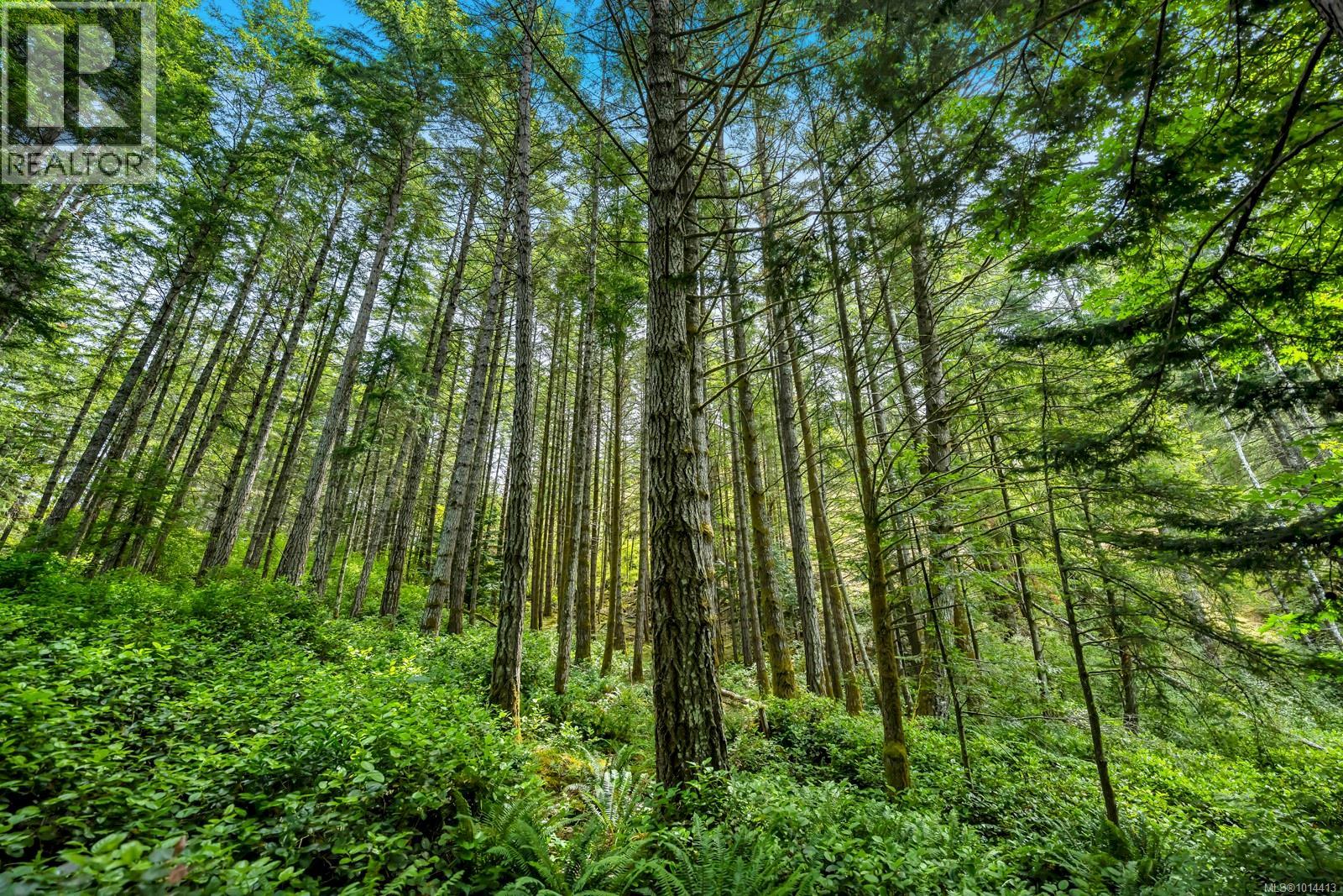 4440 Spellman Pl, Metchosin, British Columbia  V9C 4C5 - Photo 3 - 1014413