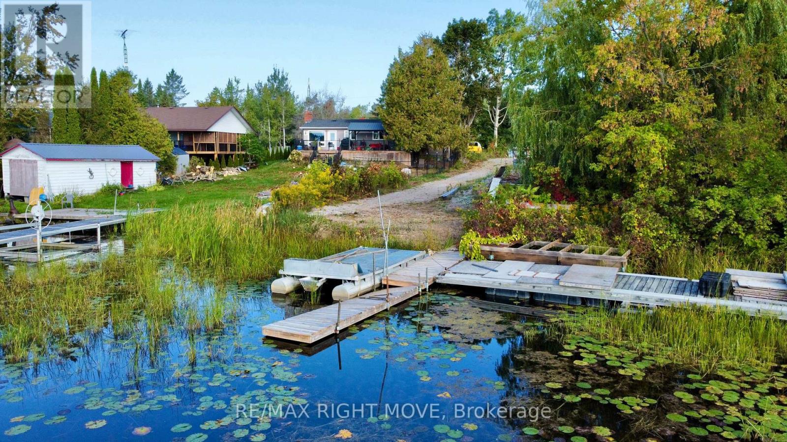 175 Mcguire Beach Road, Kawartha Lakes, Ontario  K0M 2B0 - Photo 2 - X12413716