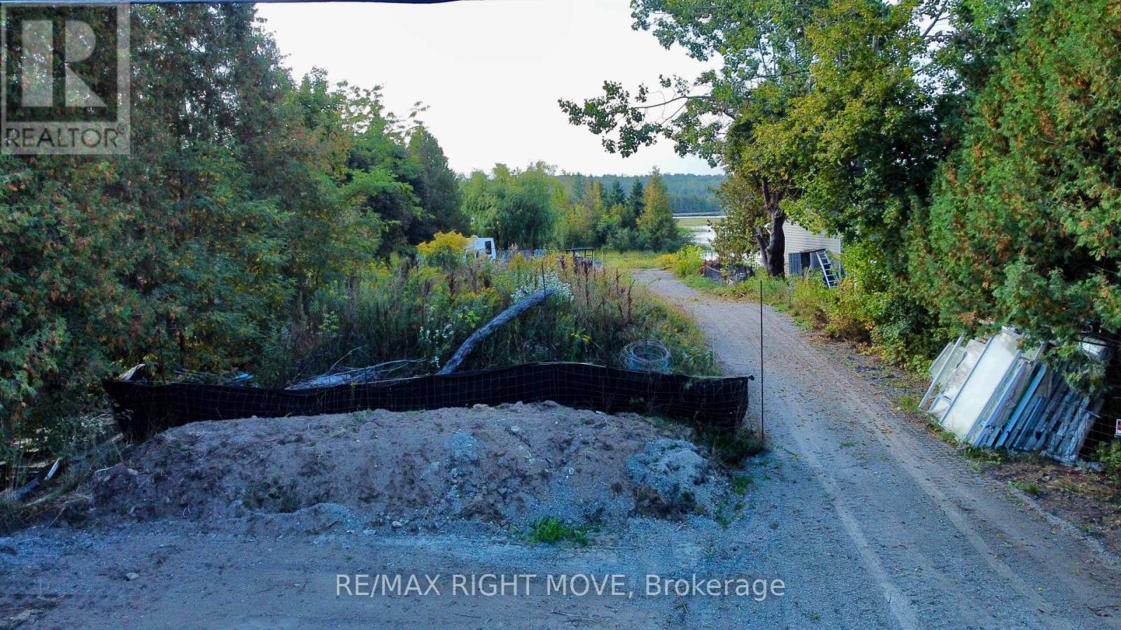 175 Mcguire Beach Road, Kawartha Lakes, Ontario  K0M 2B0 - Photo 5 - X12413716