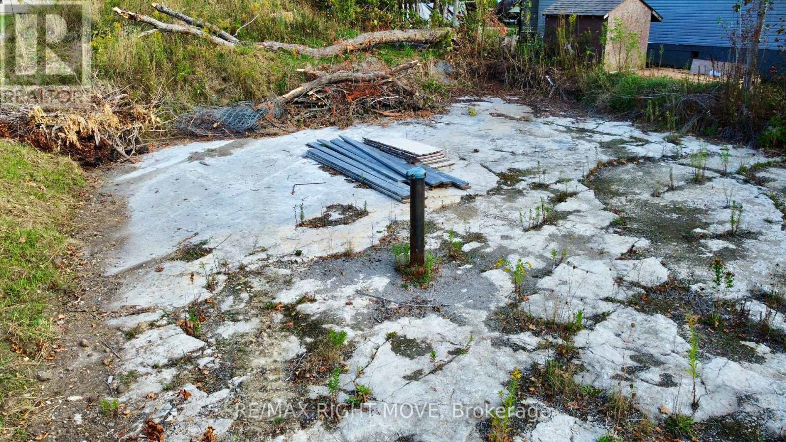 175 Mcguire Beach Road, Kawartha Lakes, Ontario  K0M 2B0 - Photo 6 - X12413716