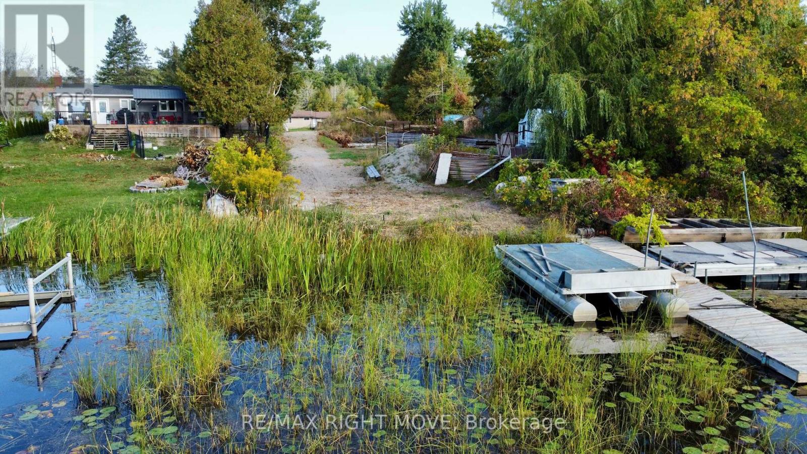 175 Mcguire Beach Road, Kawartha Lakes, Ontario  K0M 2B0 - Photo 7 - X12413716