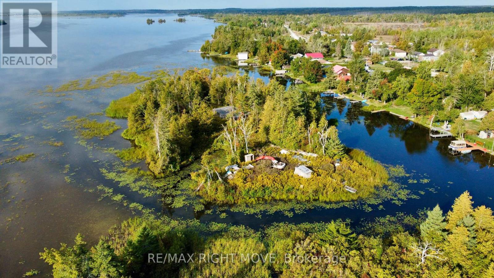 175 Mcguire Beach Road, Kawartha Lakes, Ontario  K0M 2B0 - Photo 8 - X12413716