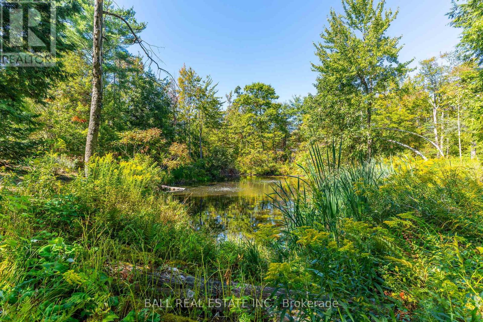 221 Edwina Drive, Trent Lakes, Ontario  K0M 1A0 - Photo 47 - X12413383