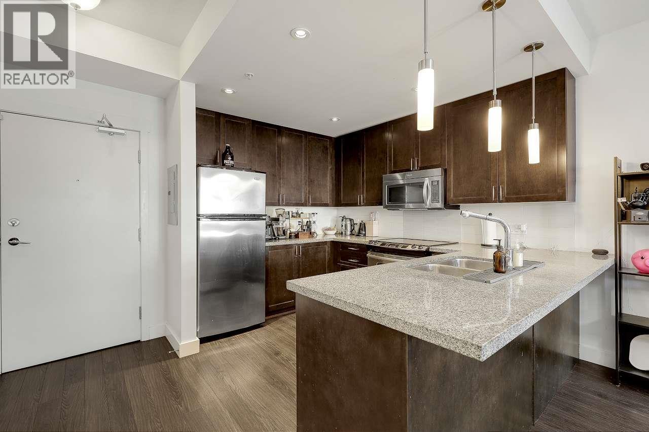 310 2368 Marpole Avenue, Port Coquitlam, British Columbia  V3C 0B4 - Photo 6 - R3048380