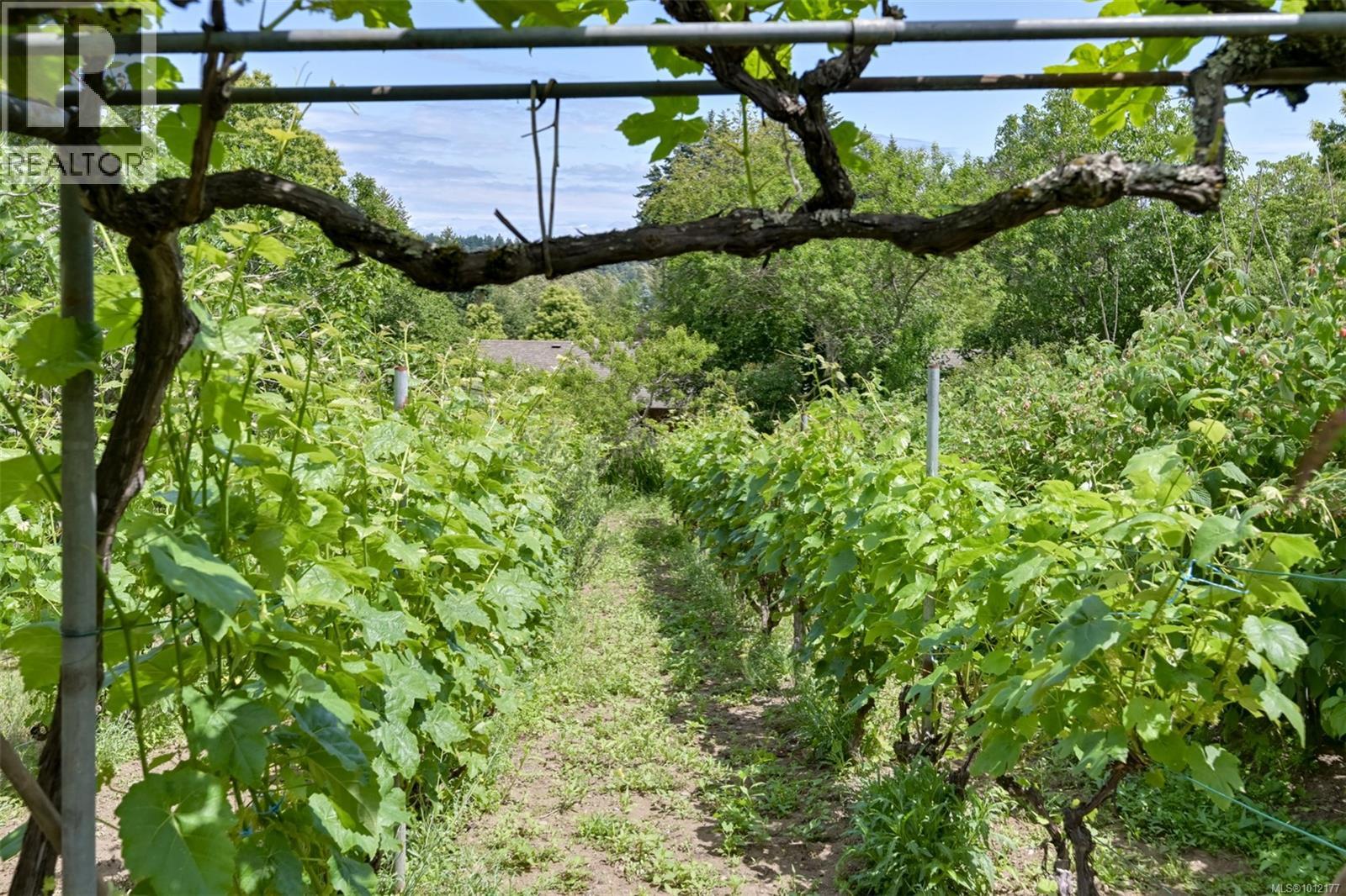 5489 Forest Hill Rd, Saanich, British Columbia  V9E 2A8 - Photo 35 - 1012177