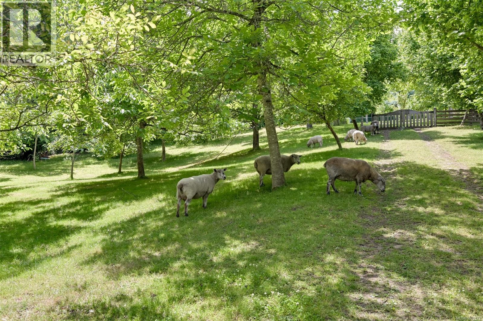 5489 Forest Hill Rd, Saanich, British Columbia  V9E 2A8 - Photo 41 - 1012177