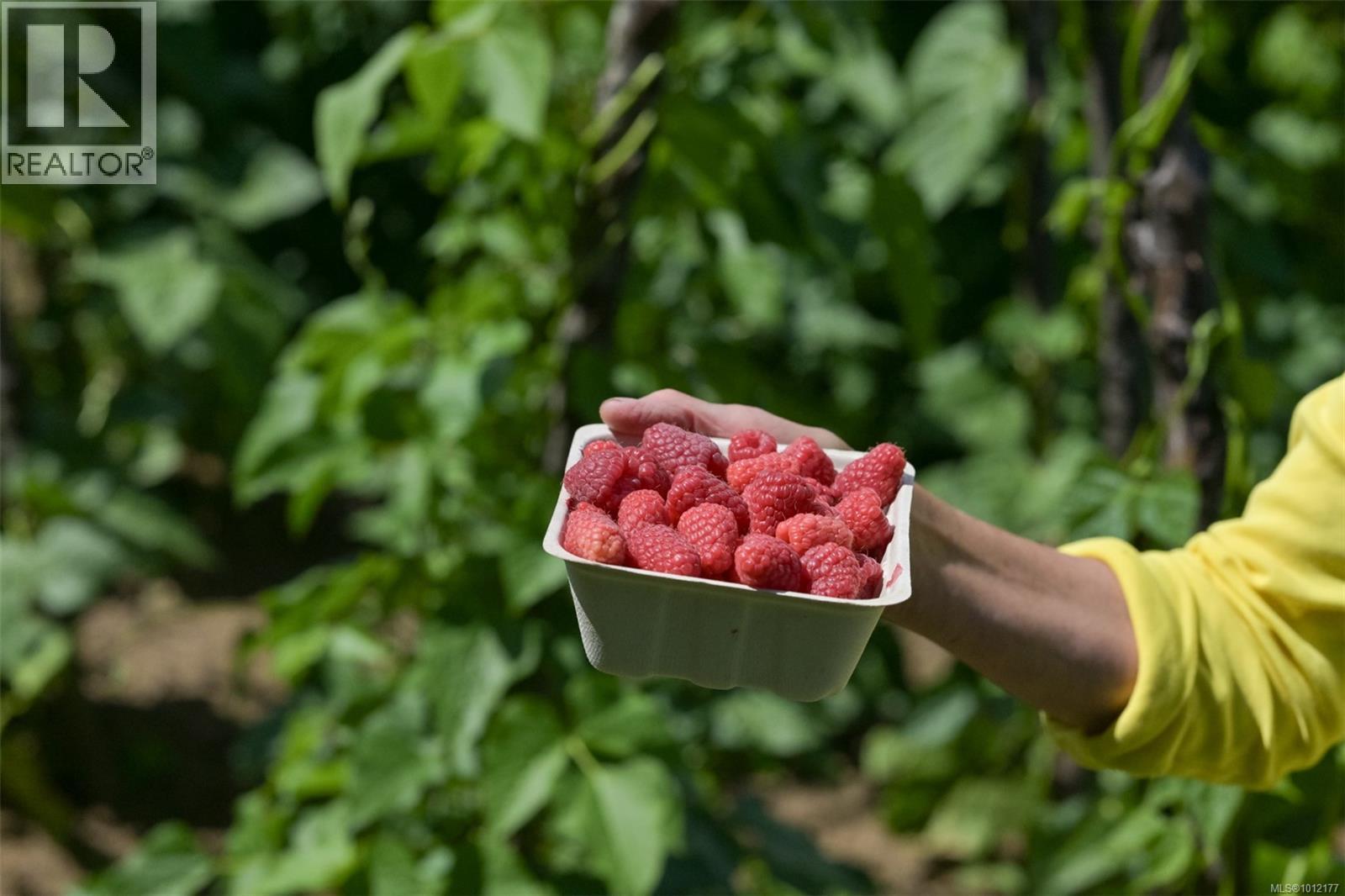 5489 Forest Hill Rd, Saanich, British Columbia  V9E 2A8 - Photo 73 - 1012177