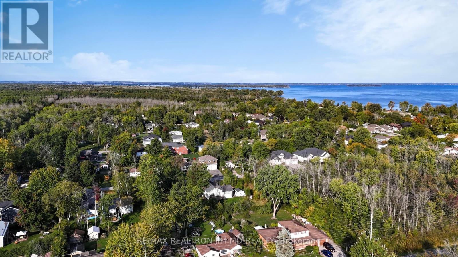 751 Sedore Avenue, Georgina, Ontario  L0E 1S0 - Photo 50 - N12414092