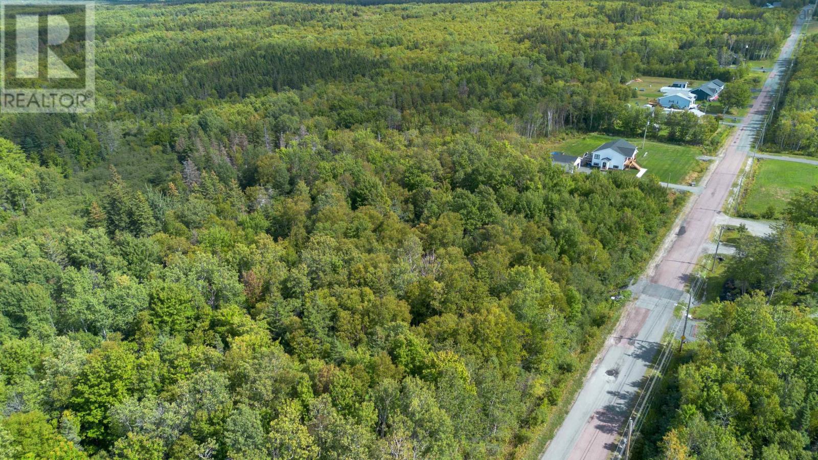 17 Mackesey Drive, Victoria Mines, Nova Scotia  B1N 3J7 - Photo 4 - 202523753