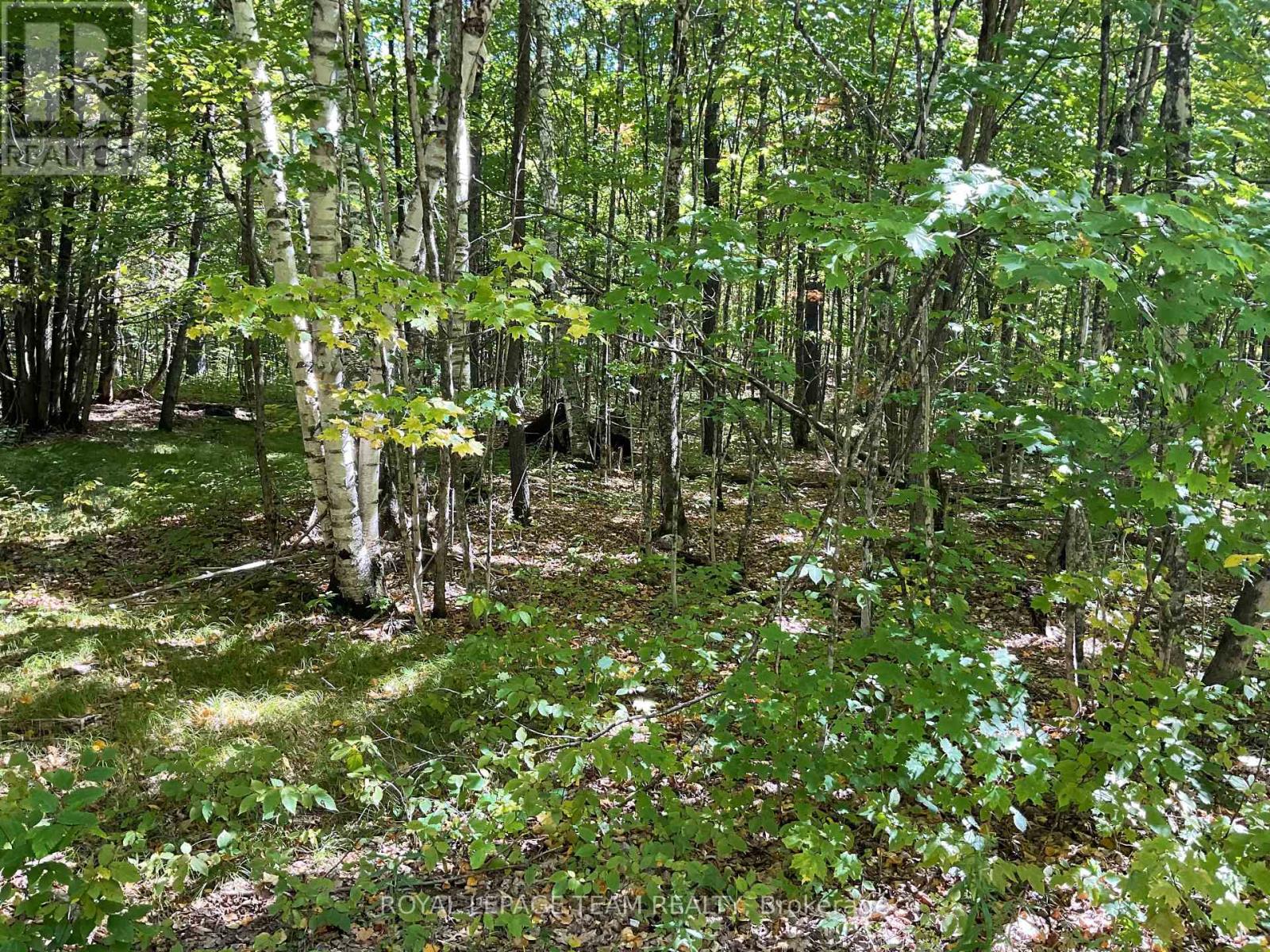 188 Con 9 Road, Lanark Highlands, Ontario  K0A 1P0 - Photo 3 - X12414174