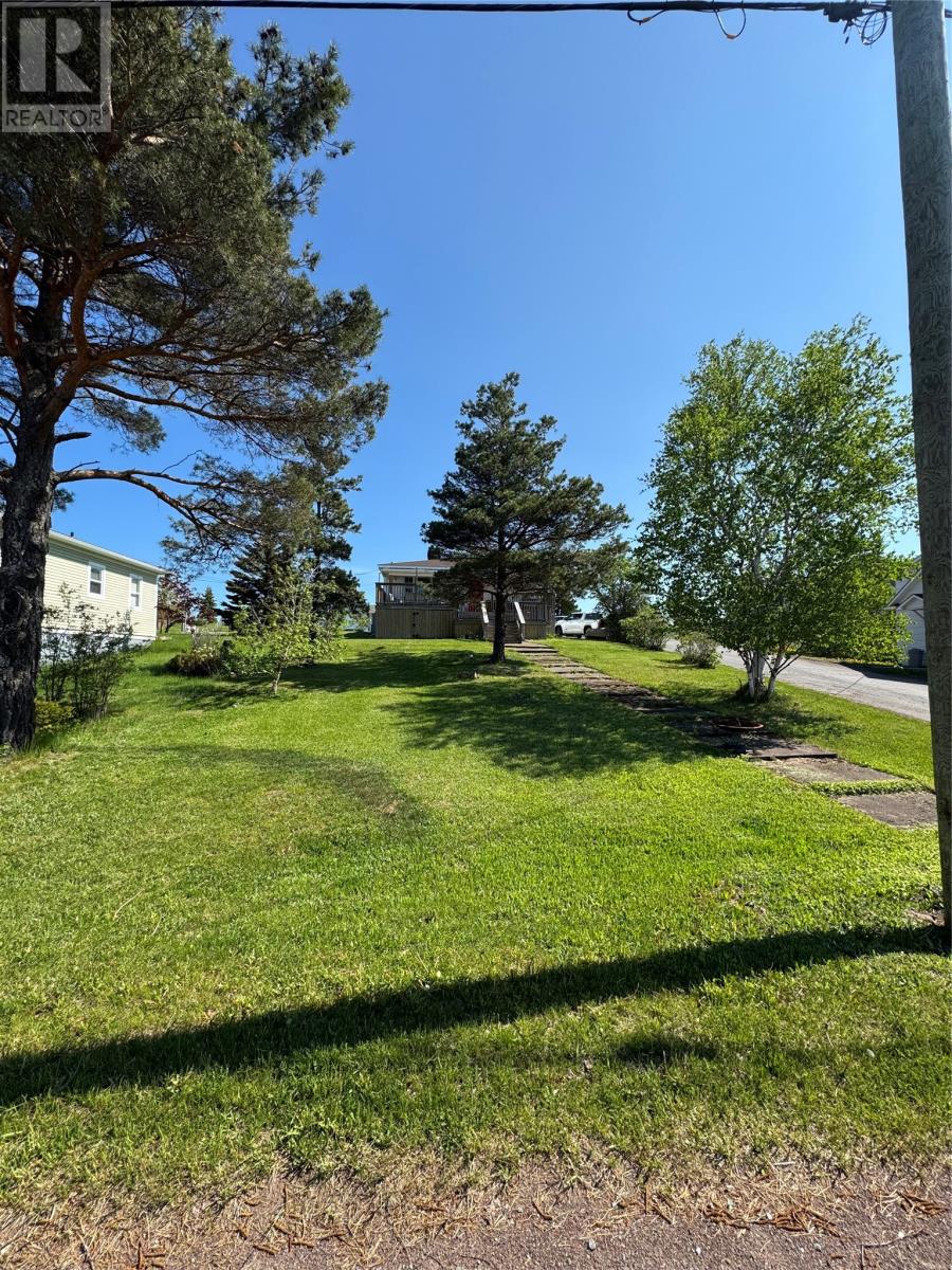 13 Mill Road, Botwood, Newfoundland & Labrador  A0H 1E0 - Photo 2 - 1286084