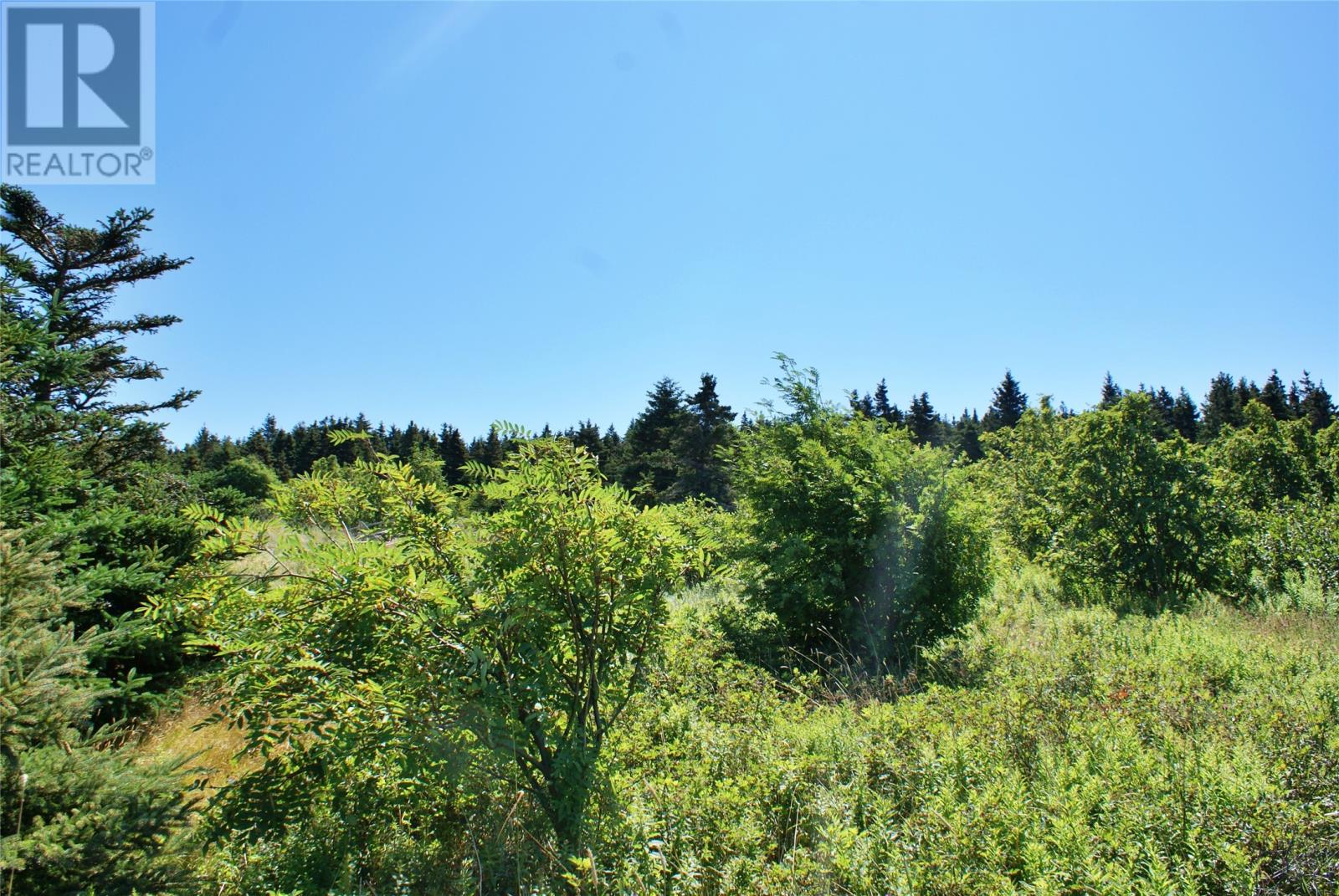 442 Southside Road, Harbour Grace, Newfoundland & Labrador  A0A 2M0 - Photo 8 - 1290670