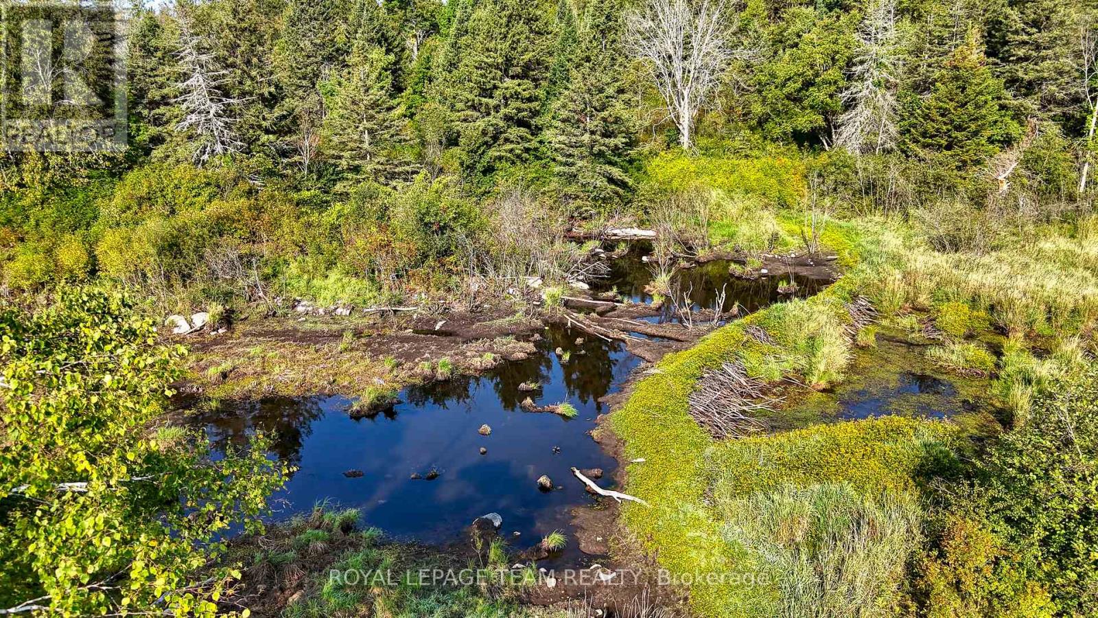 3053 Ramsay Con 3 C Road, Mississippi Mills, Ontario  K0A 1A0 - Photo 9 - X12414280