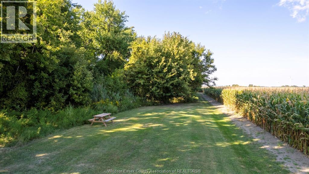 8146 Lakeshore Rd 311, Staples, Ontario  N0P 2J0 - Photo 48 - 25023894