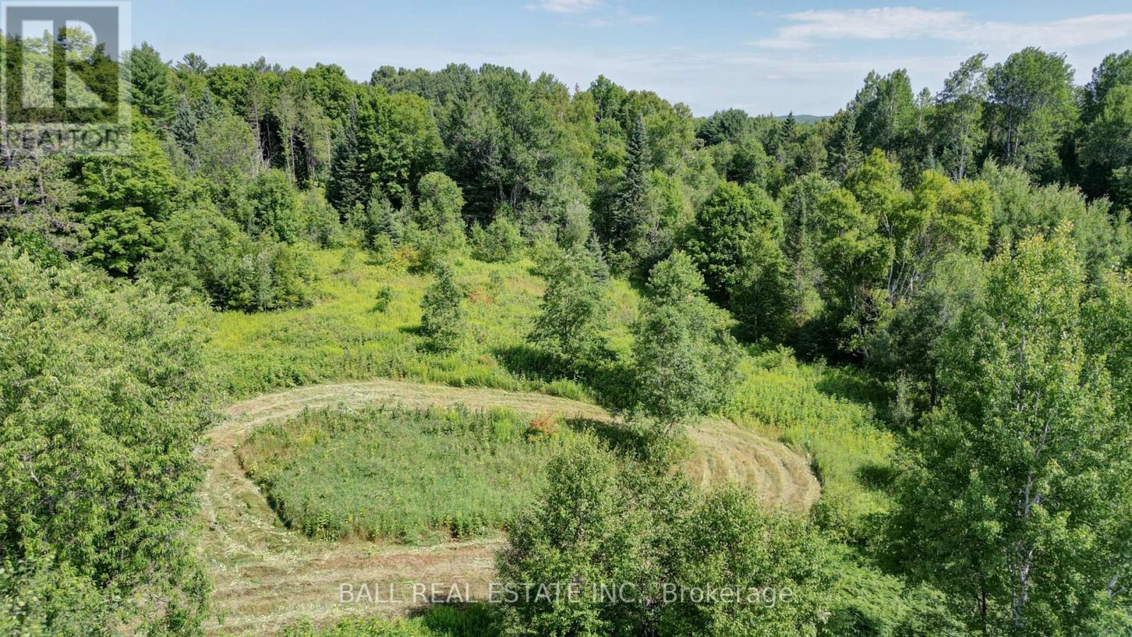 35956 Highway 62, Hastings Highlands, Ontario  K0L 2R0 - Photo 7 - X12311588