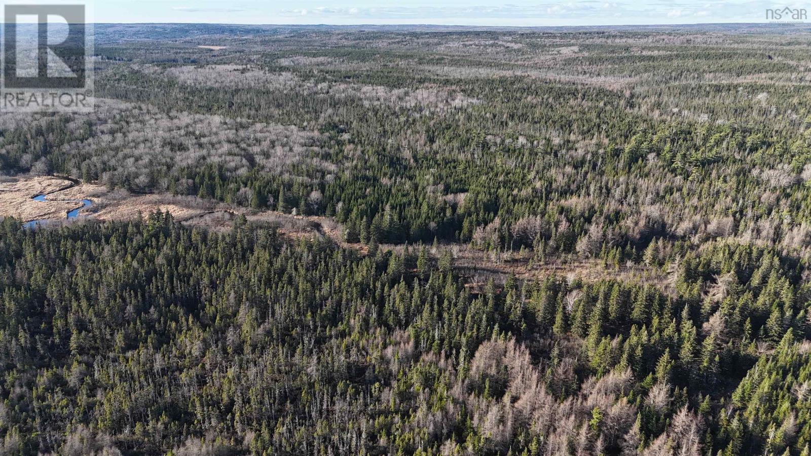 Salmon River Road, Enon, Nova Scotia  B1J 1X6 - Photo 10 - 202523772
