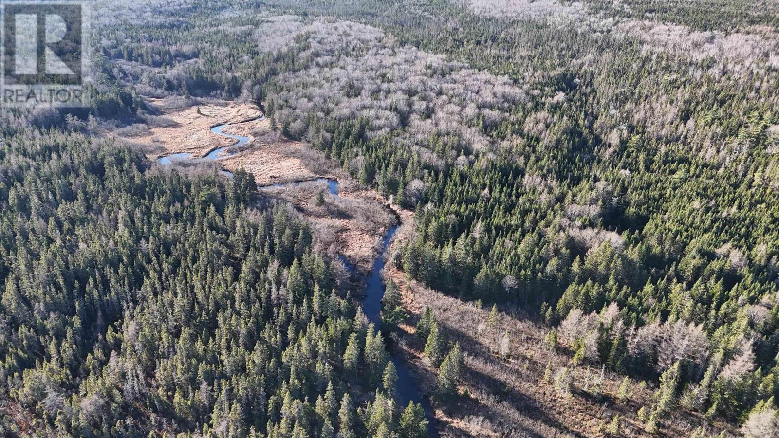 Salmon River Road, Enon, Nova Scotia  B1J 1X6 - Photo 12 - 202523772