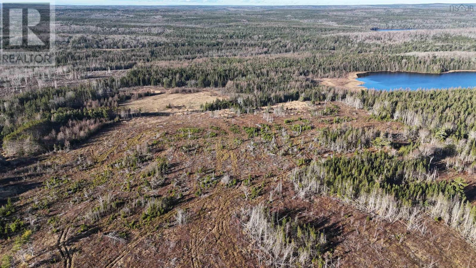 Salmon River Road, Enon, Nova Scotia  B1J 1X6 - Photo 26 - 202523772