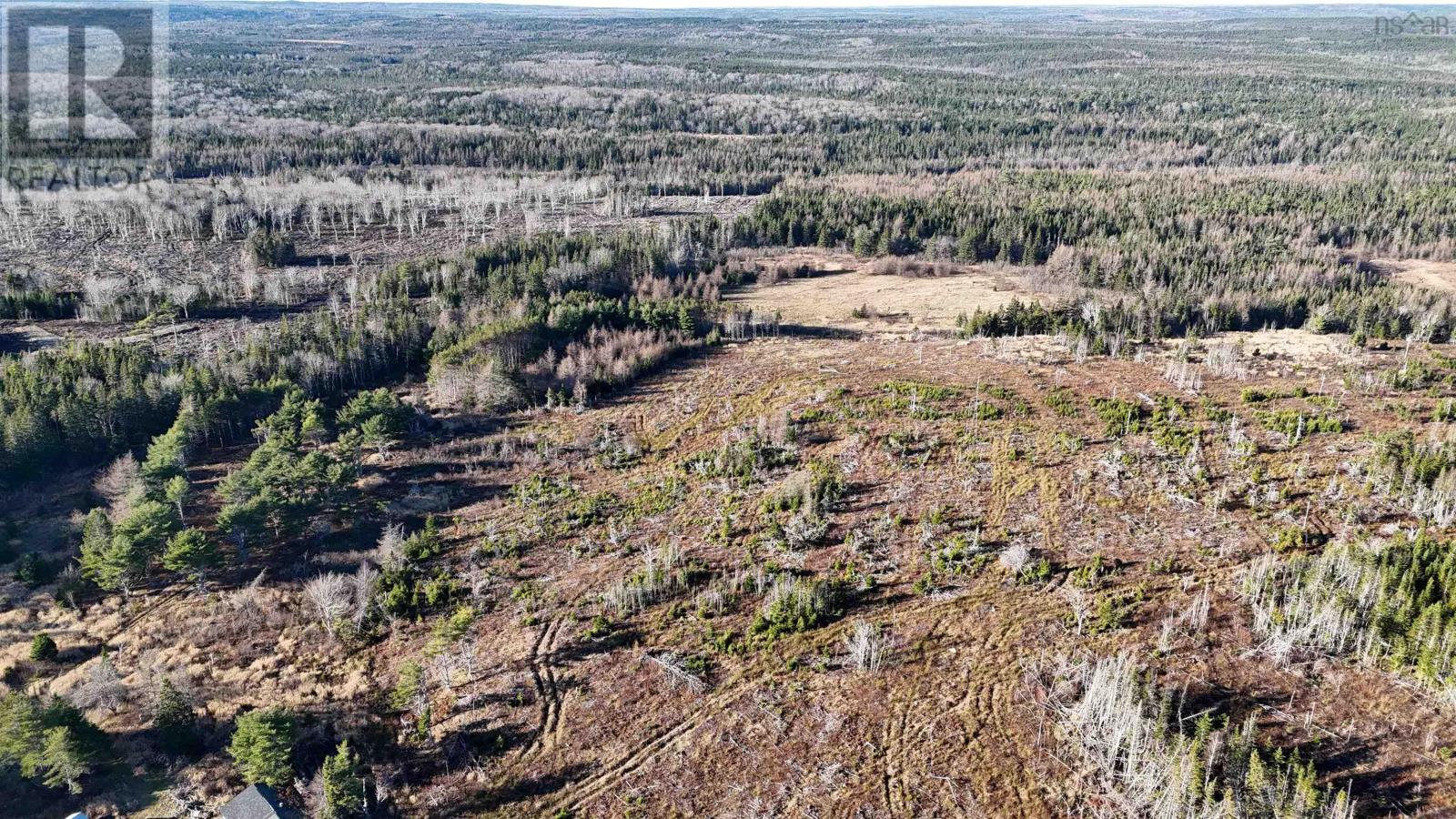 Salmon River Road, Enon, Nova Scotia  B1J 1X6 - Photo 27 - 202523772