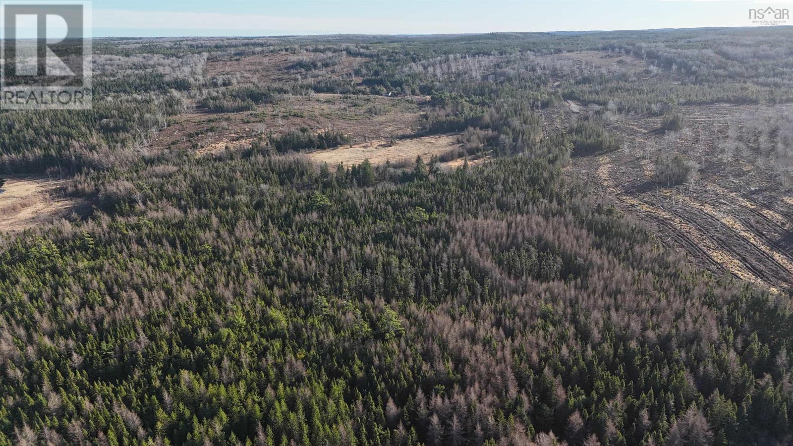 Salmon River Road, Enon, Nova Scotia  B1J 1X6 - Photo 4 - 202523772