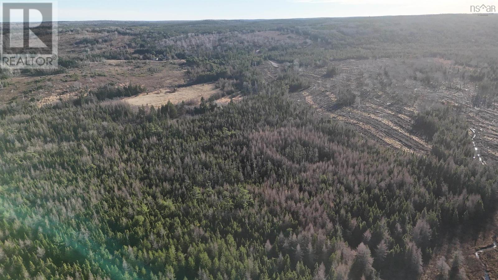 Salmon River Road, Enon, Nova Scotia  B1J 1X6 - Photo 5 - 202523772