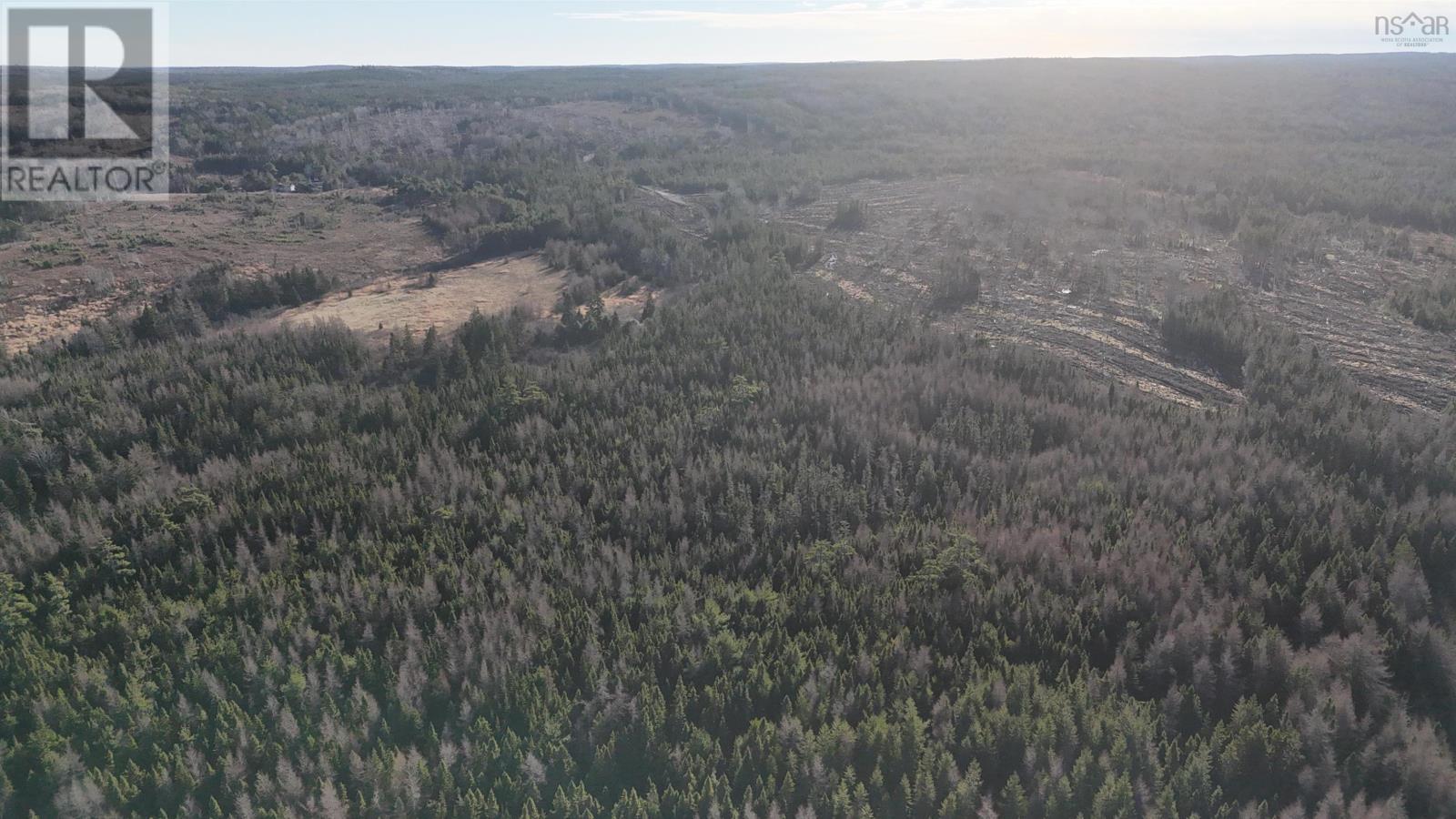 Salmon River Road, Enon, Nova Scotia  B1J 1X6 - Photo 6 - 202523772