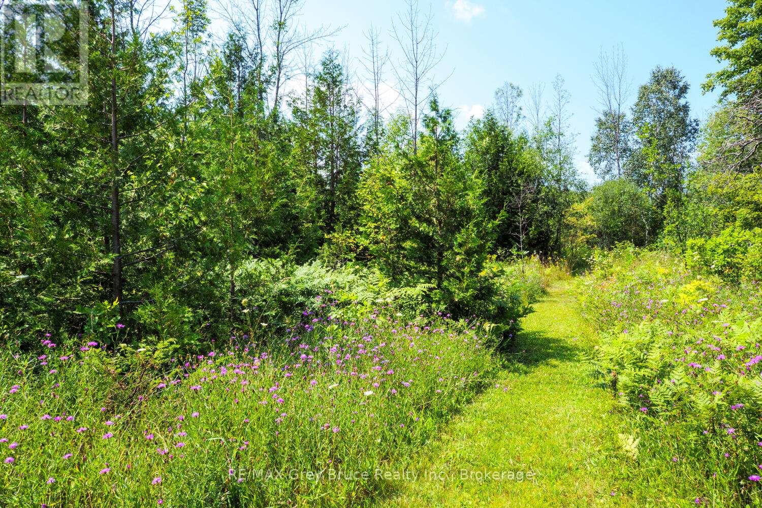 65 Lawrence Road, South Bruce Peninsula, Ontario  N0H 2T0 - Photo 35 - X12414458