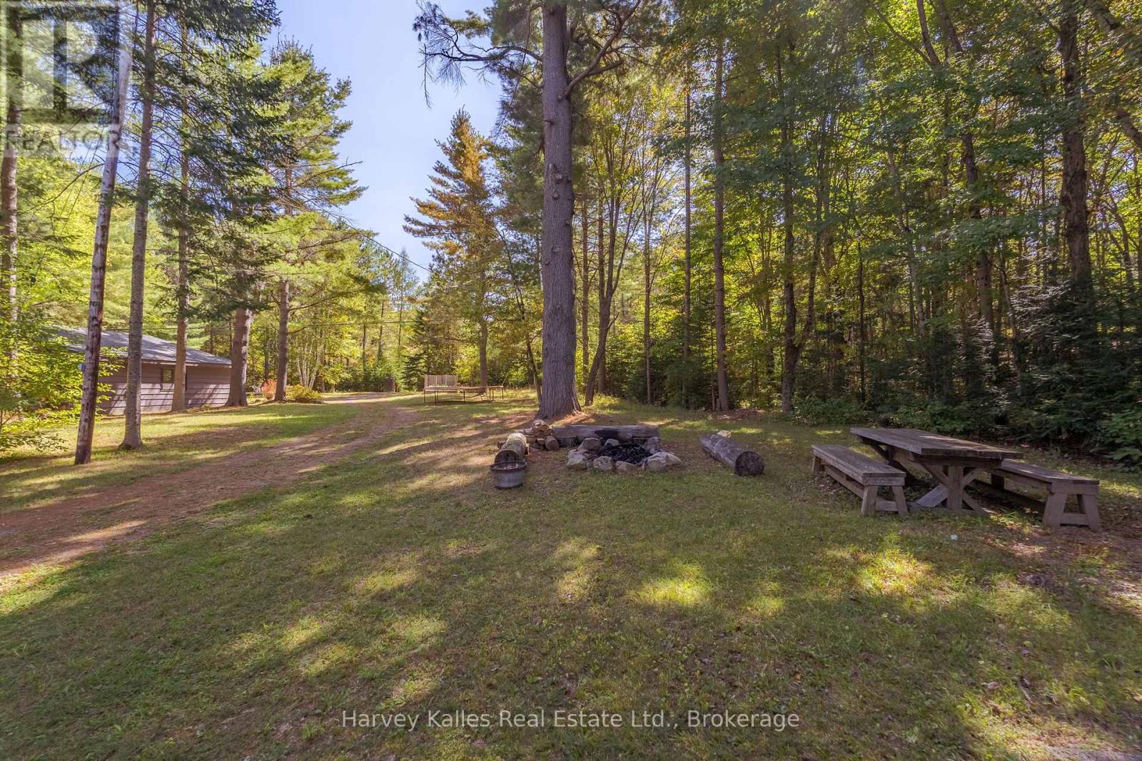 1003 Hollow Road, Algonquin Highlands, Ontario  P0A 1E0 - Photo 27 - X12414484