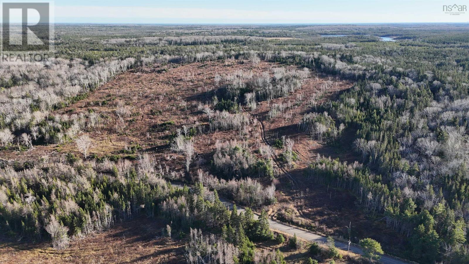 Salmon River Road, Enon, Nova Scotia  B1J 1X4 - Photo 2 - 202523774