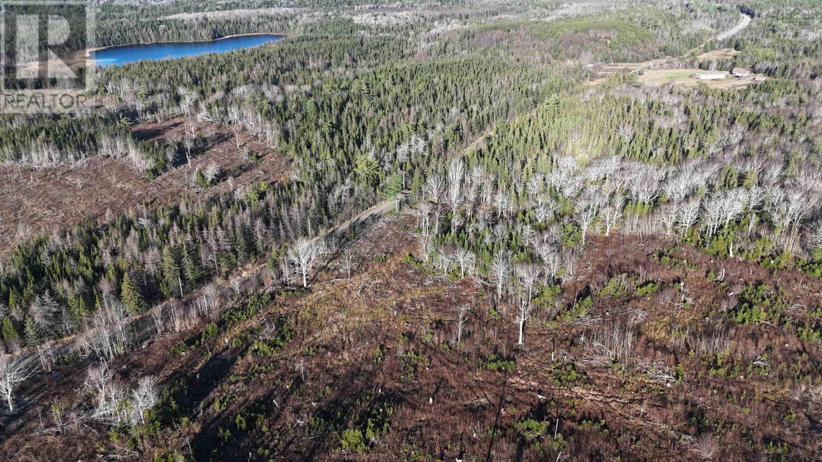 Salmon River Road, Enon, Nova Scotia  B1J 1X4 - Photo 7 - 202523774