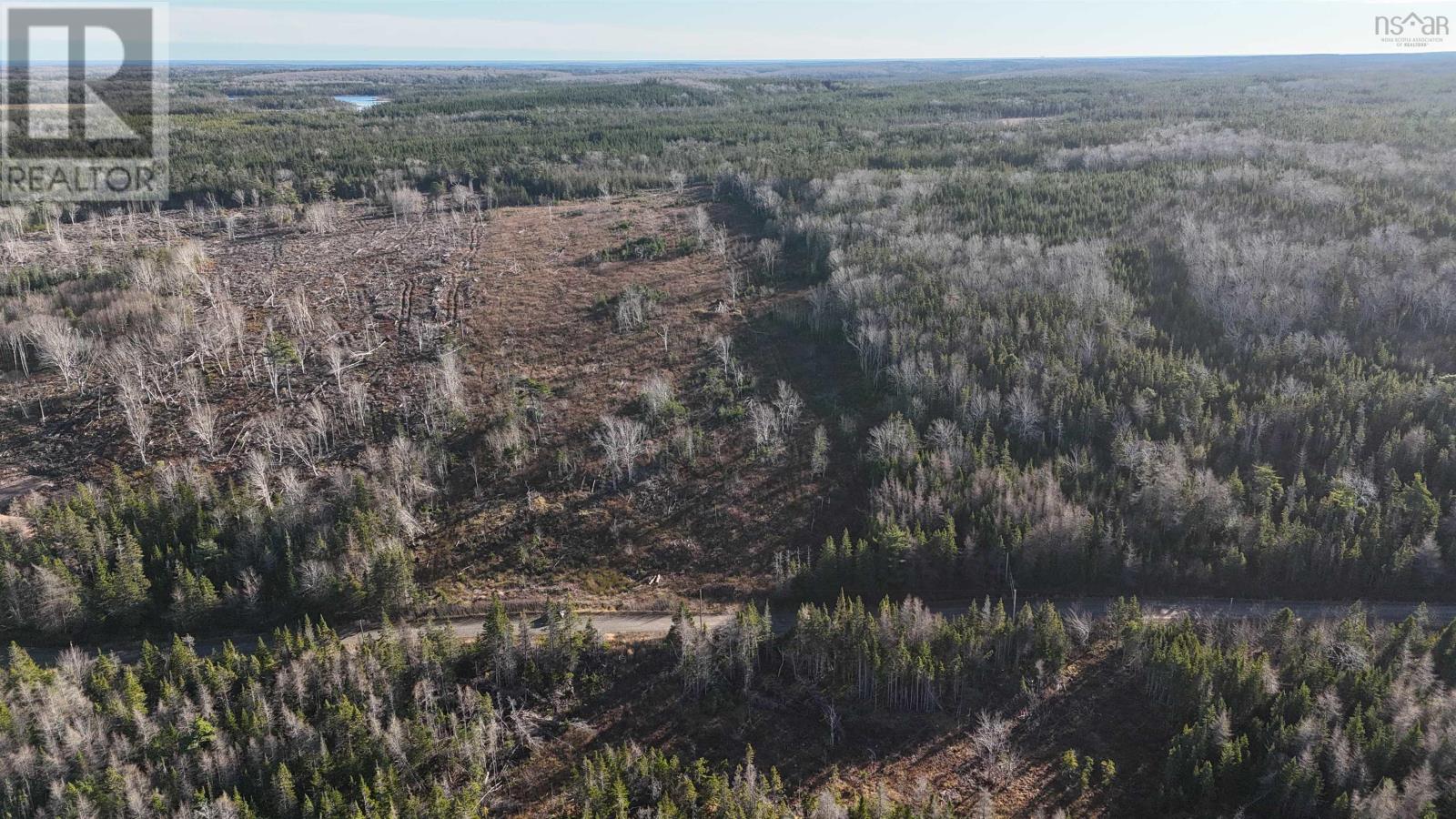 Salmon River Road, Enon, Nova Scotia  B1J 1X4 - Photo 15 - 202523775