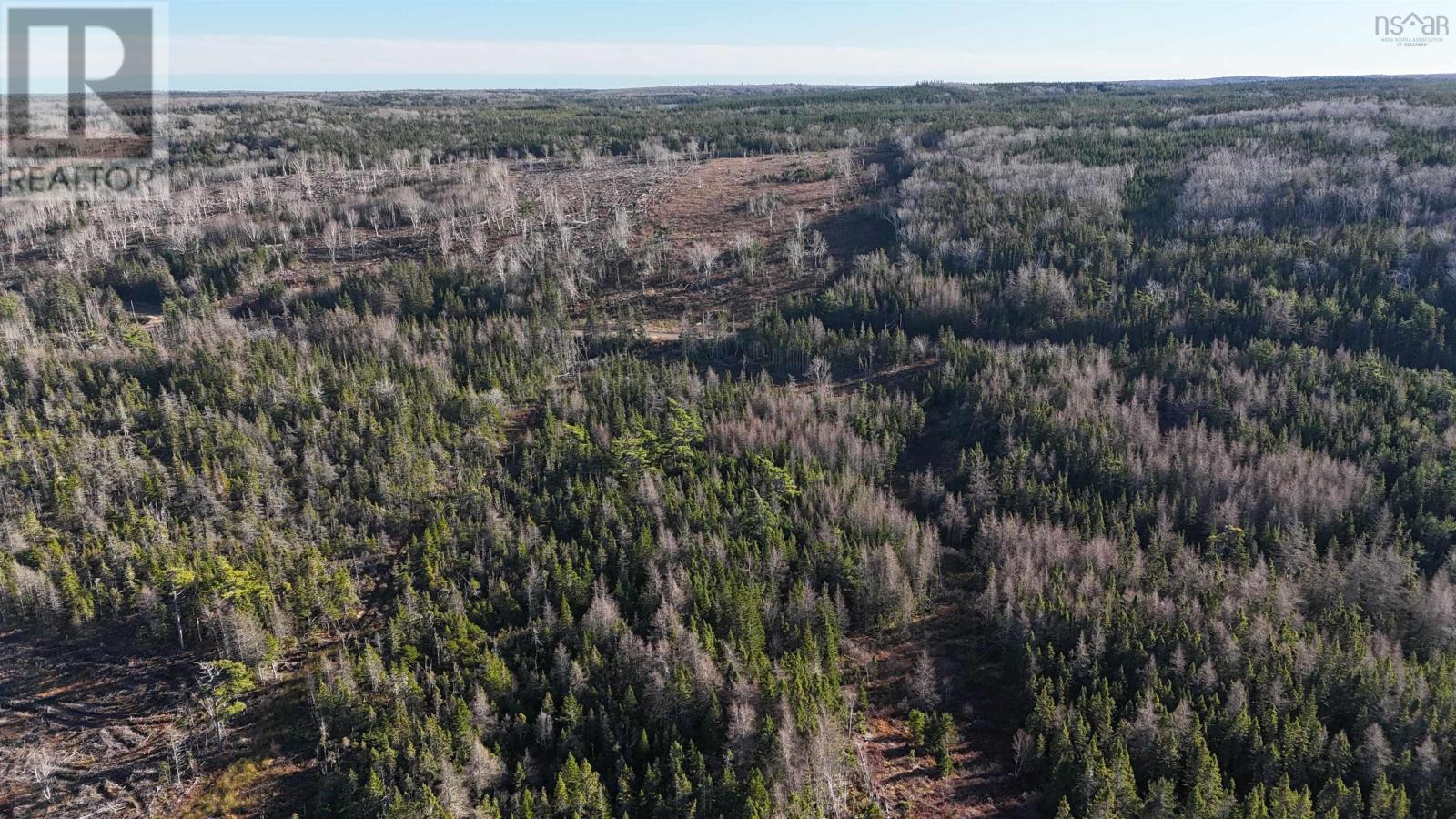 Salmon River Road, Enon, Nova Scotia  B1J 1X4 - Photo 21 - 202523775