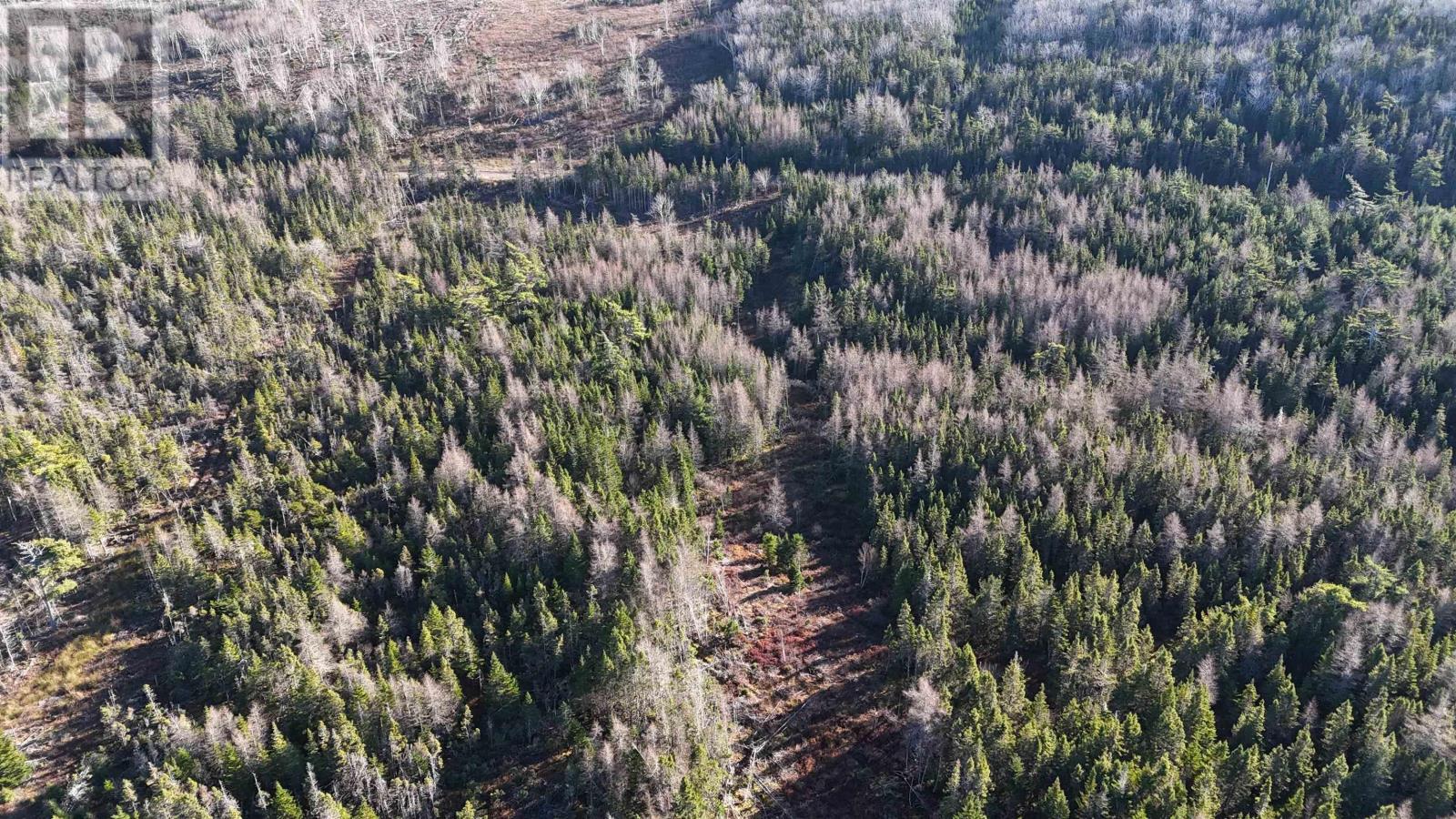 Salmon River Road, Enon, Nova Scotia  B1J 1X4 - Photo 20 - 202523775