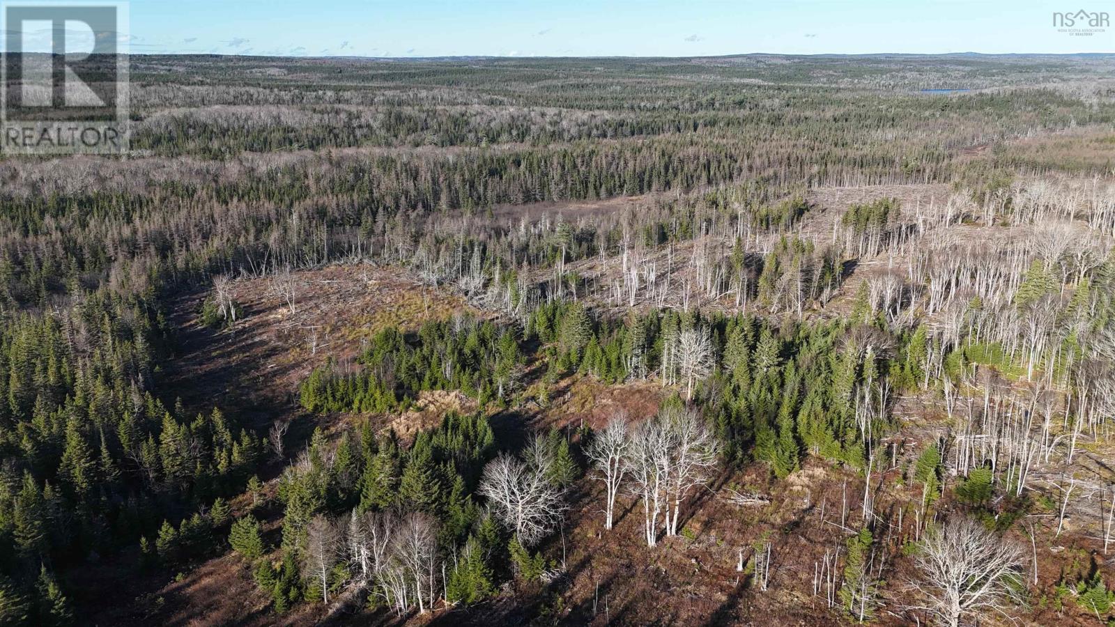 Salmon River Road, Enon, Nova Scotia  B1J 1X4 - Photo 23 - 202523775