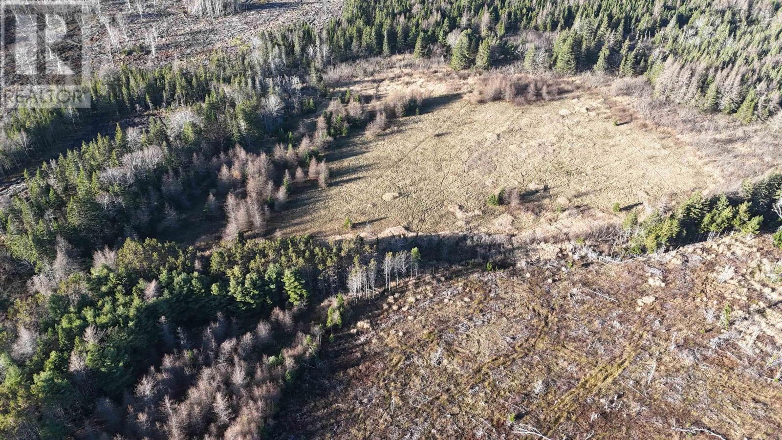 Salmon River Road, Enon, Nova Scotia  B1J 1X4 - Photo 3 - 202523774