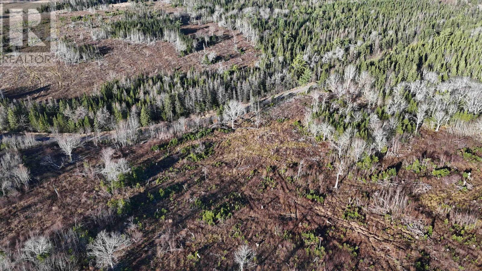 Salmon River Road, Enon, Nova Scotia  B1J 1X4 - Photo 8 - 202523774