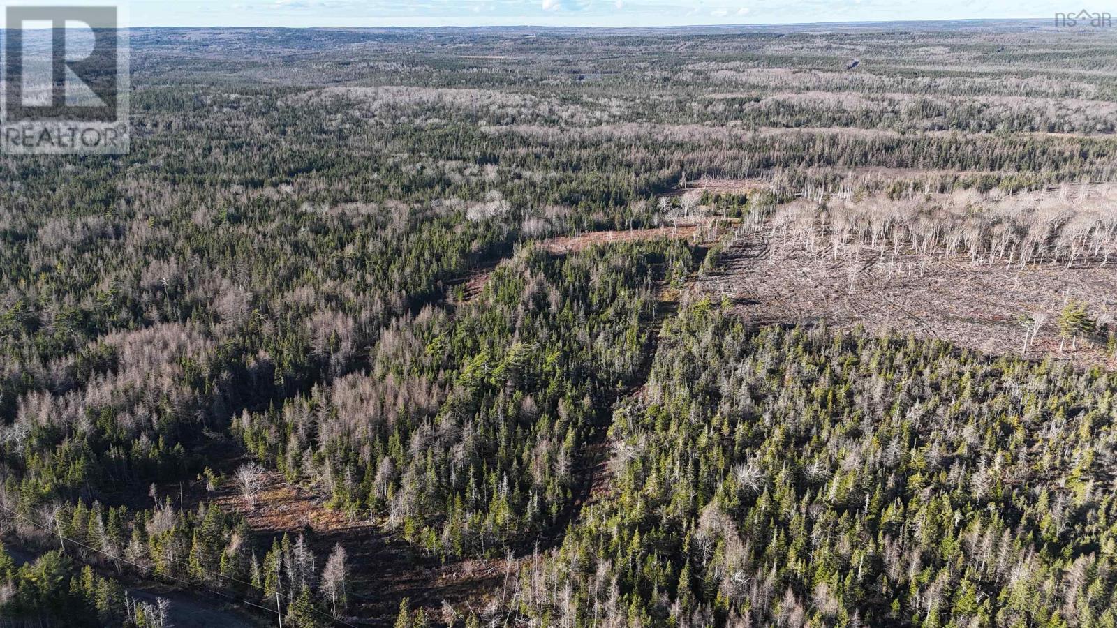 Salmon River Road, Enon, Nova Scotia  B1J 1X4 - Photo 10 - 202523775
