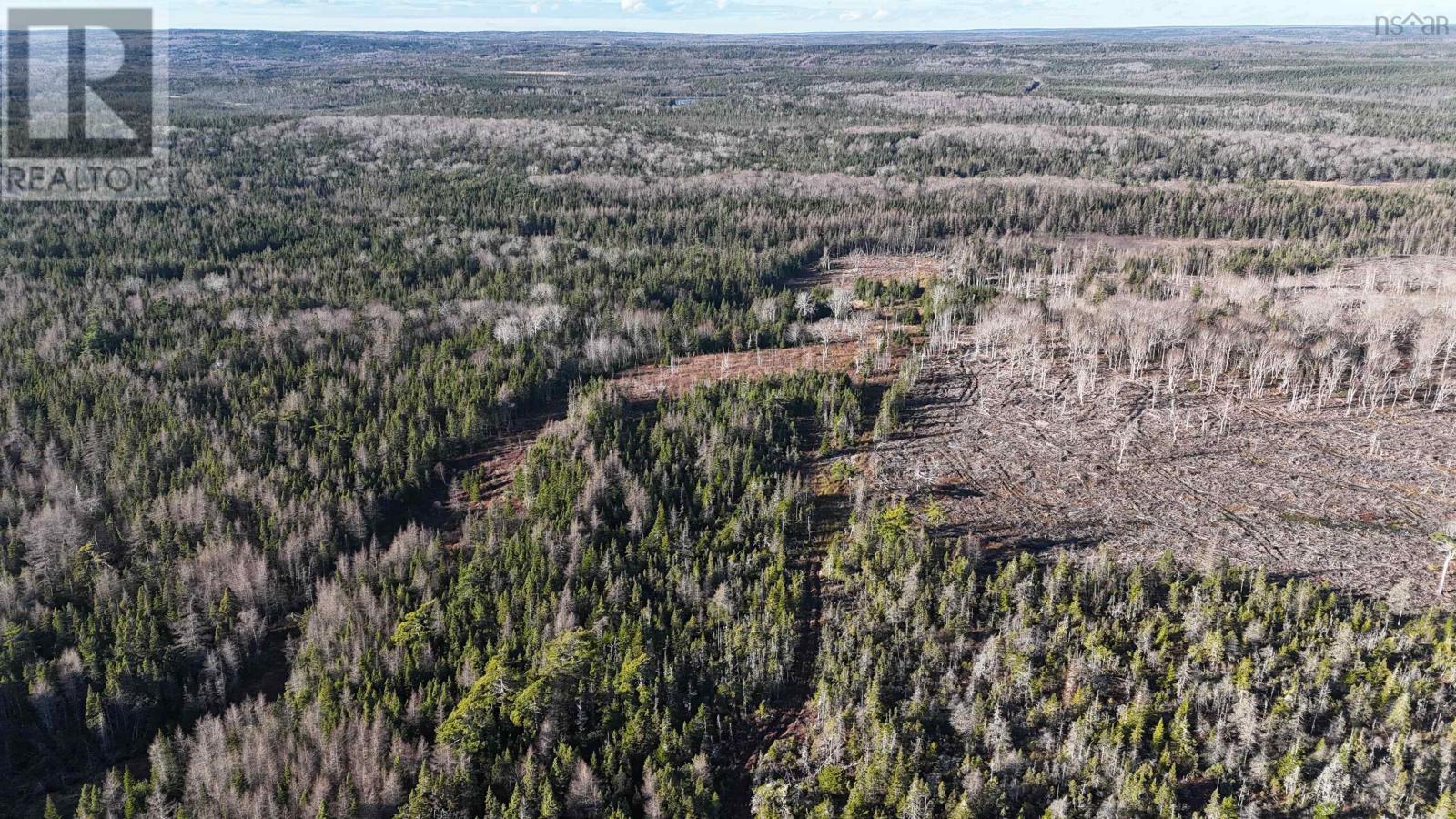 Salmon River Road, Enon, Nova Scotia  B1J 1X4 - Photo 11 - 202523775