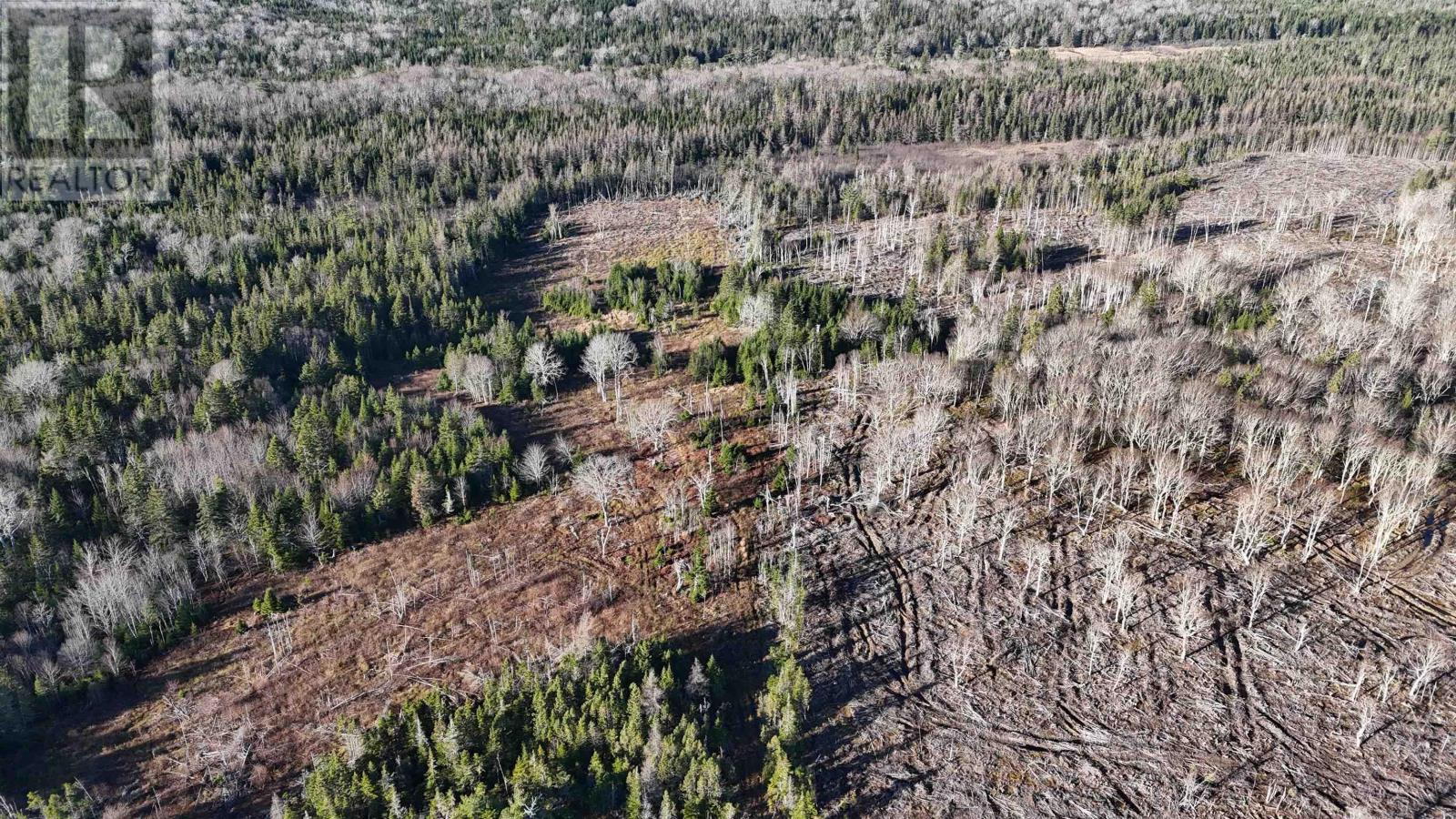 Salmon River Road, Enon, Nova Scotia  B1J 1X4 - Photo 14 - 202523775