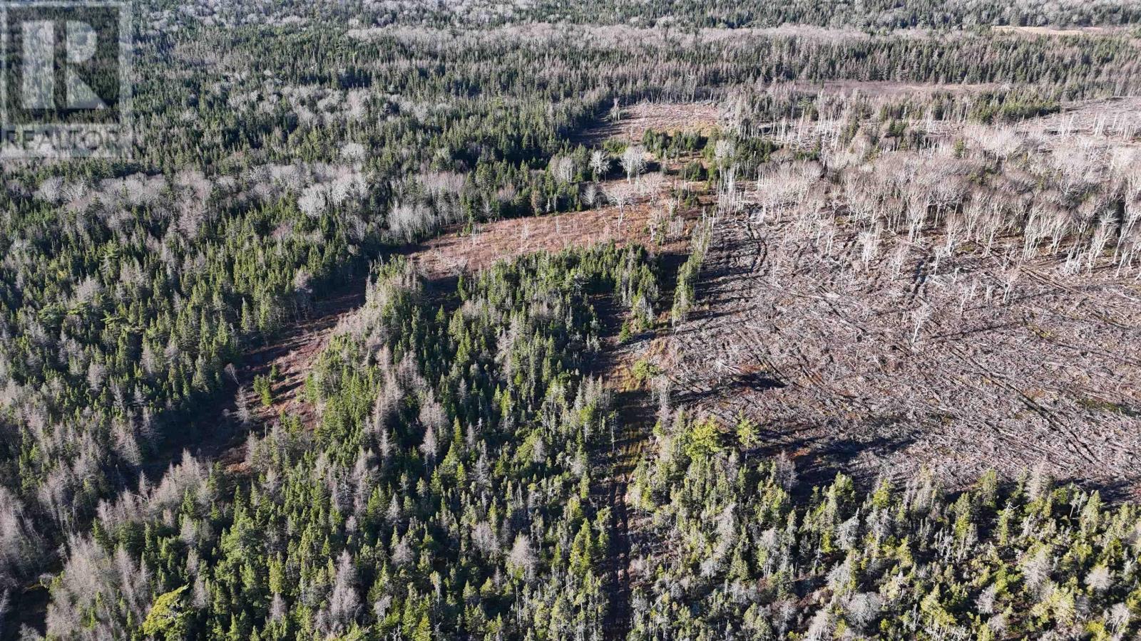 Salmon River Road, Enon, Nova Scotia  B1J 1X4 - Photo 13 - 202523775