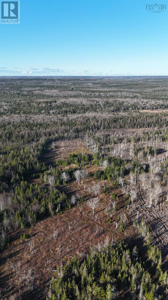 Salmon River Road, Enon, Nova Scotia  B1J 1X4 - Photo 17 - 202523775