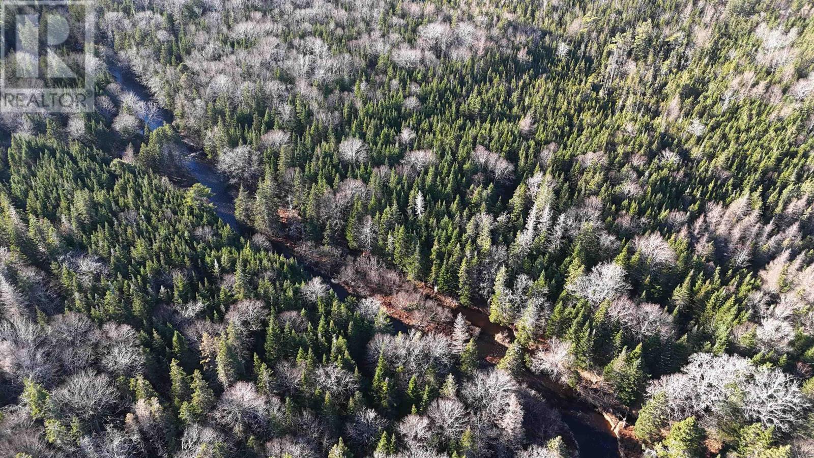 Salmon River Road, Enon, Nova Scotia  B1J 1X4 - Photo 6 - 202523775