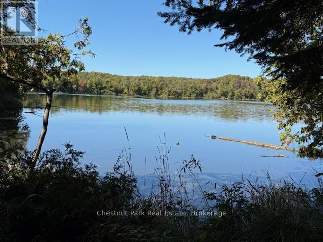 596244 Concession 10, Chatsworth, Ontario  N0H 1R0 - Photo 11 - X12414624