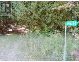 596244 CONCESSION 10