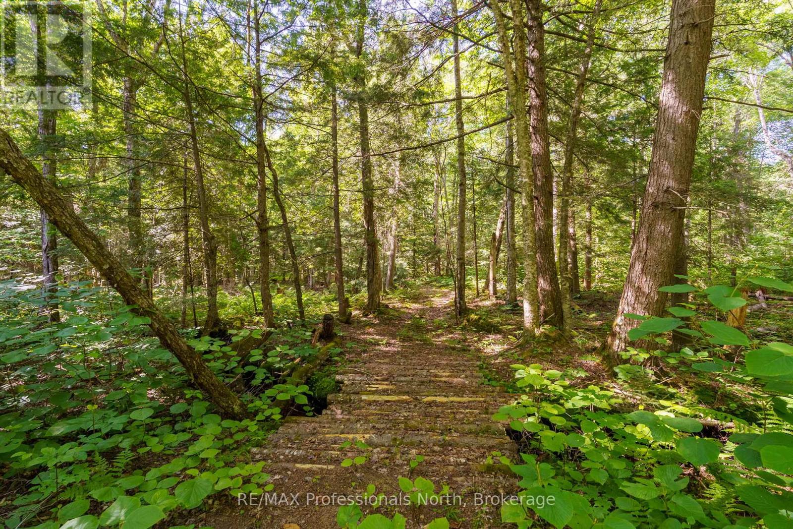 187 Stephenson 4 Road W, Huntsville, Ontario  P0B 1L0 - Photo 42 - X12414654