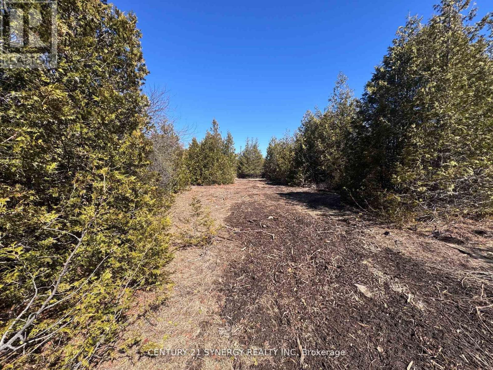 2727 County 16 Road, Merrickville-Wolford, Ontario  K0G 1N0 - Photo 39 - X12414629