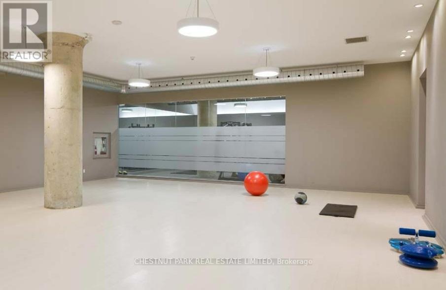 319 - 637 Lake Shore Boulevard W, Toronto, Ontario  M5V 3J6 - Photo 21 - C12414689