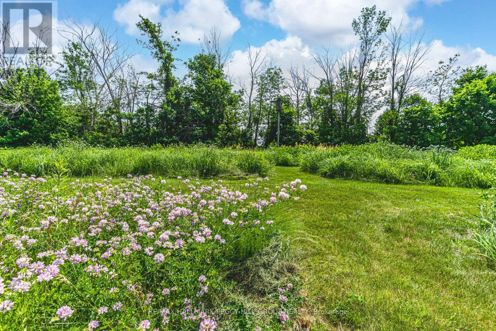10195 Highway 12 W, Oro-Medonte, Ontario  L0K 1E0 - Photo 28 - S12414614